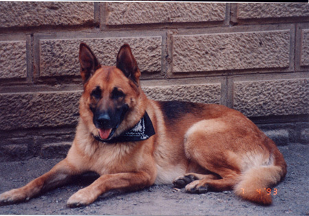 doga